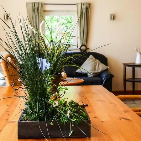 Semi-detached House - Dns041011-l Butjadingen